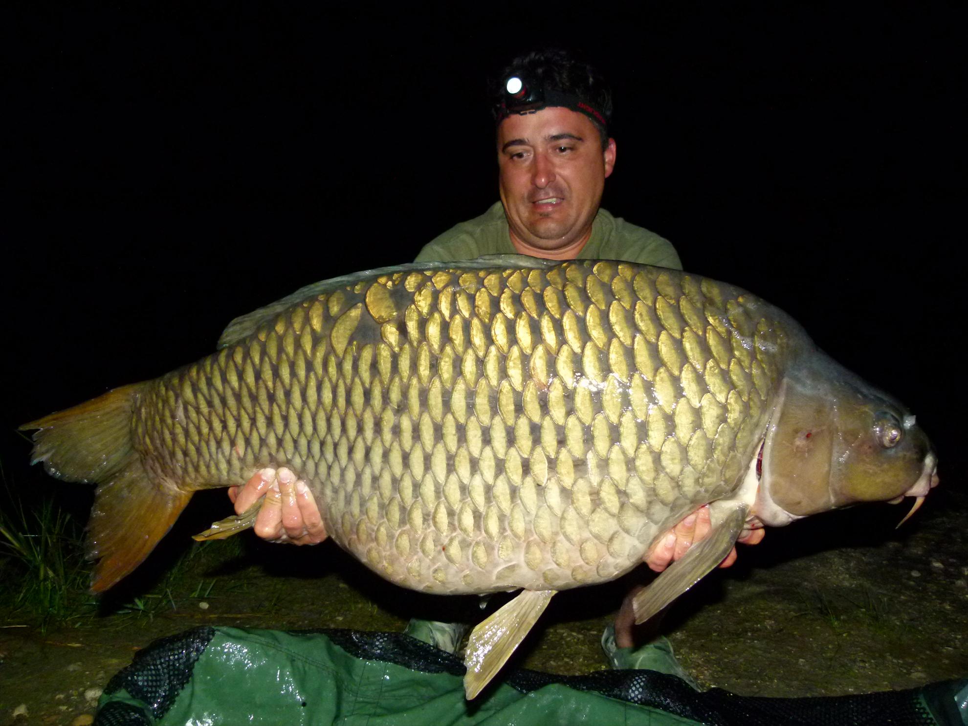 PDB 2013 - 21,500 kg